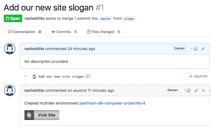 Passed Pull Request has 'Visit Site' button