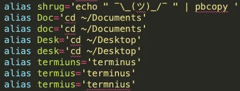 screenshot of an excerpt of Dwayne’s bash aliases from his .bash_profile including the shrug from the previous paragraph