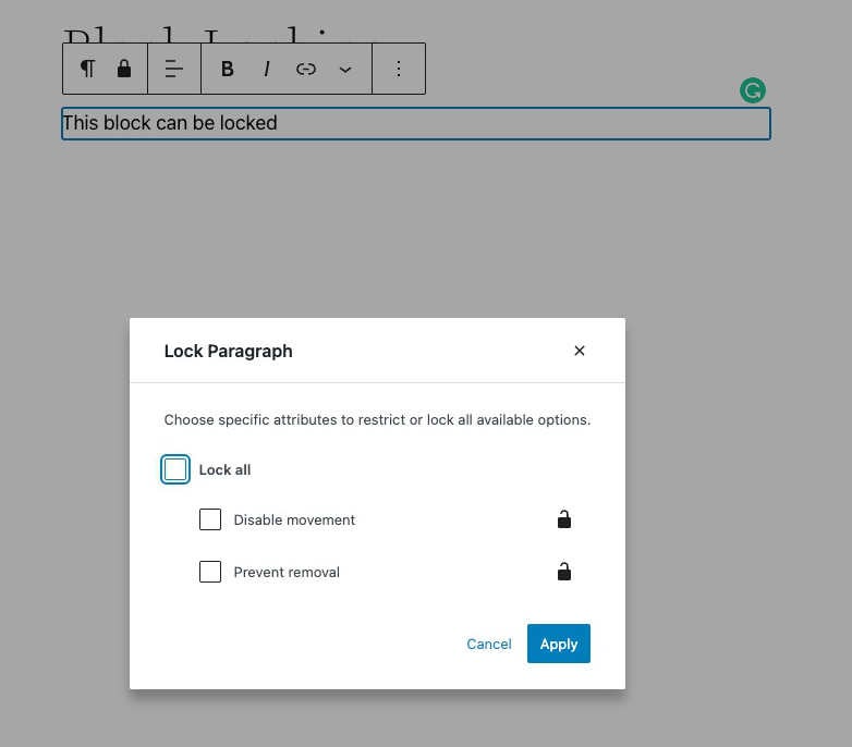 Lock Paragraph Example