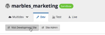 Clicking on Visit Development Site 