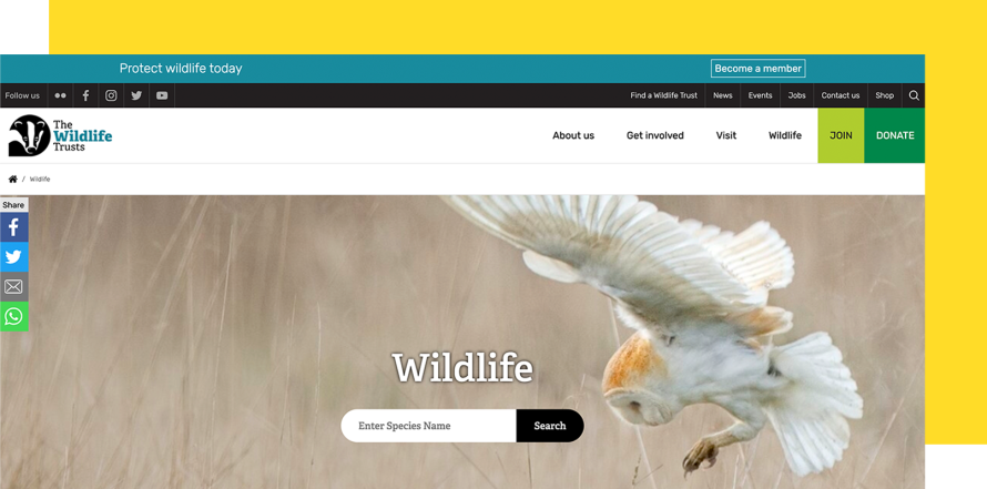 The Wildlife Trusts web page