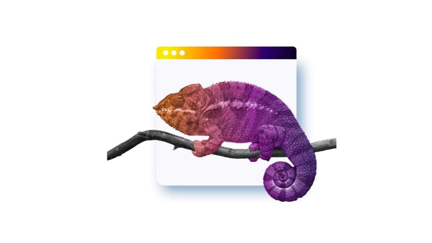 An image of a chameleon