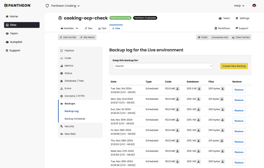 Pantheon's dashboard showing backups