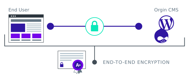 Pantheon ensures that your REST API requests are securely routed through HTTPS with HTTP/2 support. 