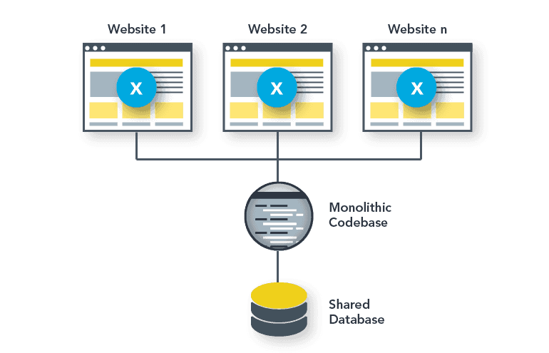 A WordPress Multisite setup.