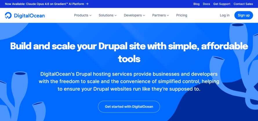 The homepage of Drupal hosting on Digital Ocean.