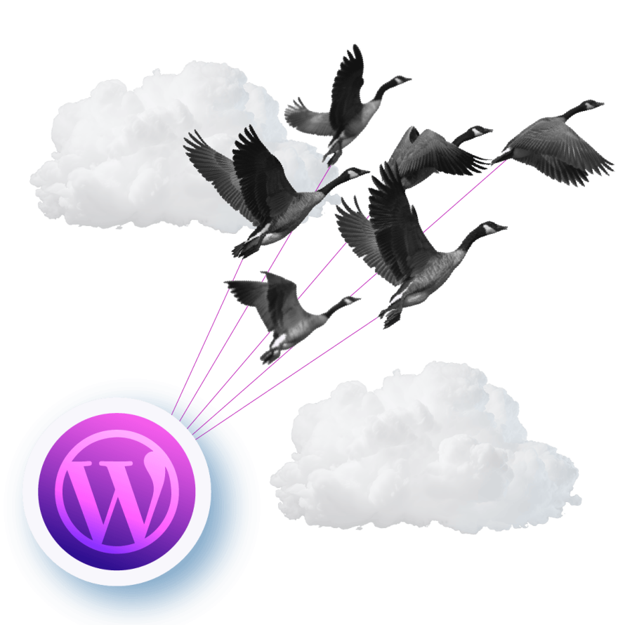 A collage featuring geese pulling the WordPress logo