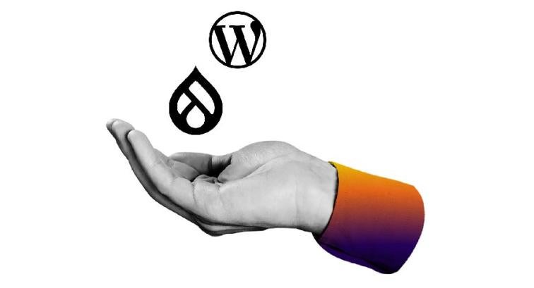 Drupal and WordPress Logos Over a Cupped Hand