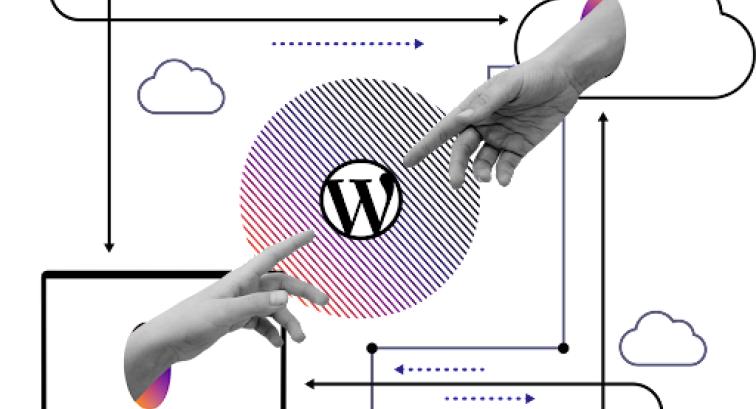 Pantheon and WordPress