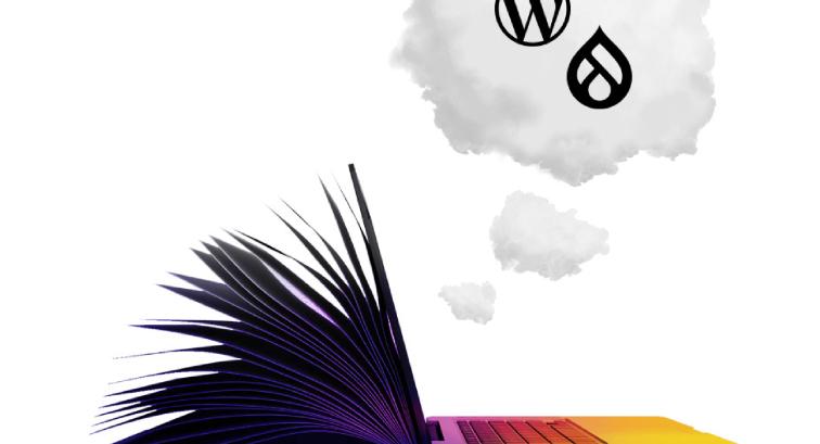 Pantheon Supports Drupal and WordPress