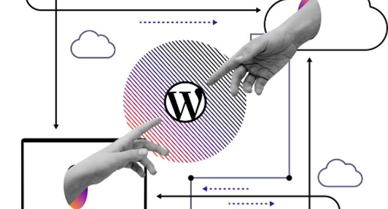Pantheon and WordPress working together