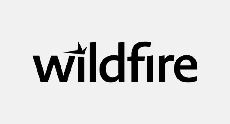 Wildire Ideas agency logo on white