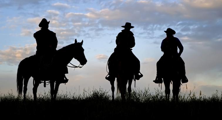 Cowboys on horses