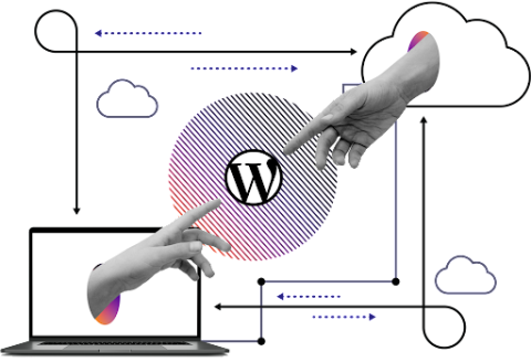 Pantheon and WordPress