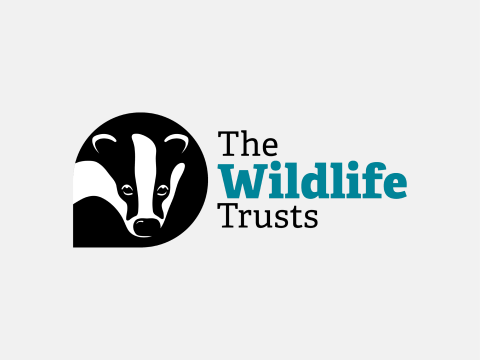 The Wildlife Trusts Logo