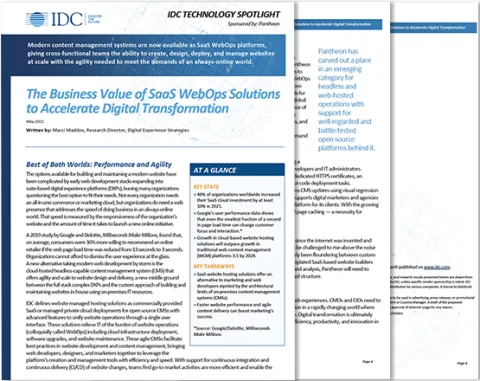 IDC Report Preview