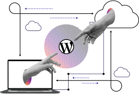 Pantheon and WordPress working together