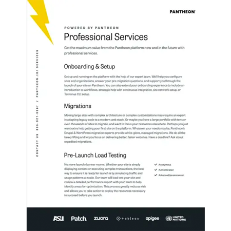 Professional Services Datasheet image