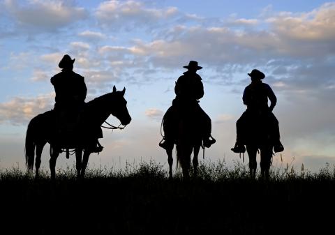 Cowboys on horses