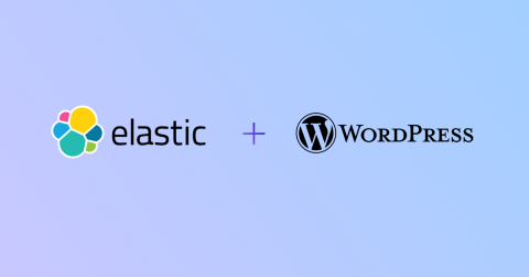 elasticsearch and wordpress