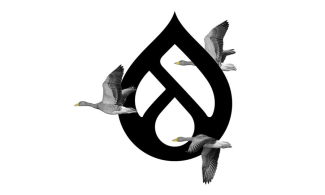 Drupal Logo with Geese Flying By