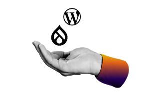 Drupal and WordPress Logos Over a Cupped Hand