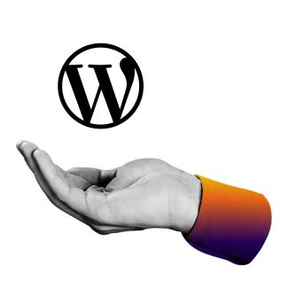 wordpress icon transparent