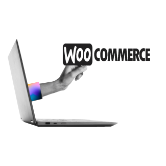 eCommerce WordPress Websites