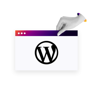 wordpress icon transparent