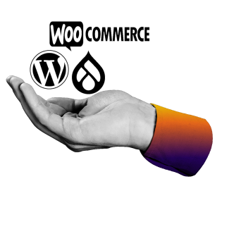 Hand holding WordPress, Drupal, WooCommerce logos